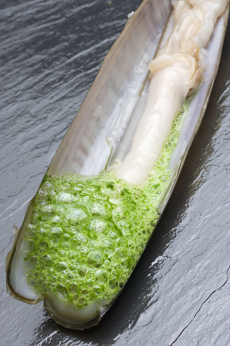 Razor shell with parsley and garlic foam at restaurant El Mercadito by Gonzalo Rey, Santiago de Compostela. La Coruña province, Galicia, Spain