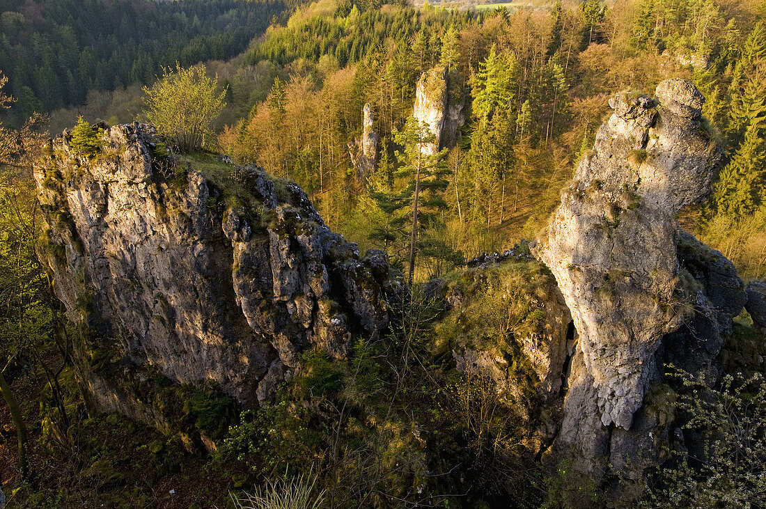 Jurassic rocks and mixed forest in springtime, Franconian Switzerland, Franconia, Bavaria