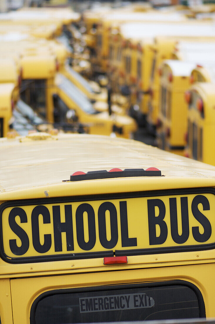 School buses, Coney Island, NYC, USA