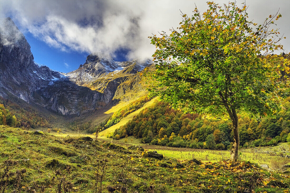 Valle de Artiga de Lin. Arán Valley. Pyrenees Mountains. Catalonia. Spain.