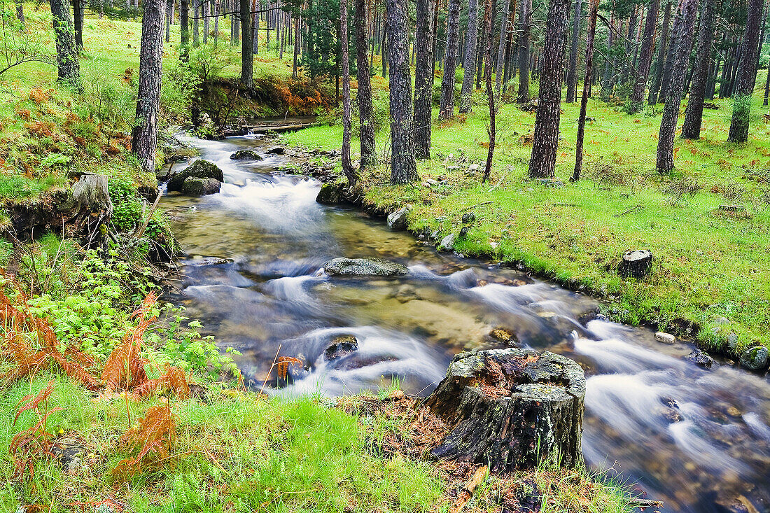 Moros River. Sierra de Guadarrama. Castile-Leon. Spain.