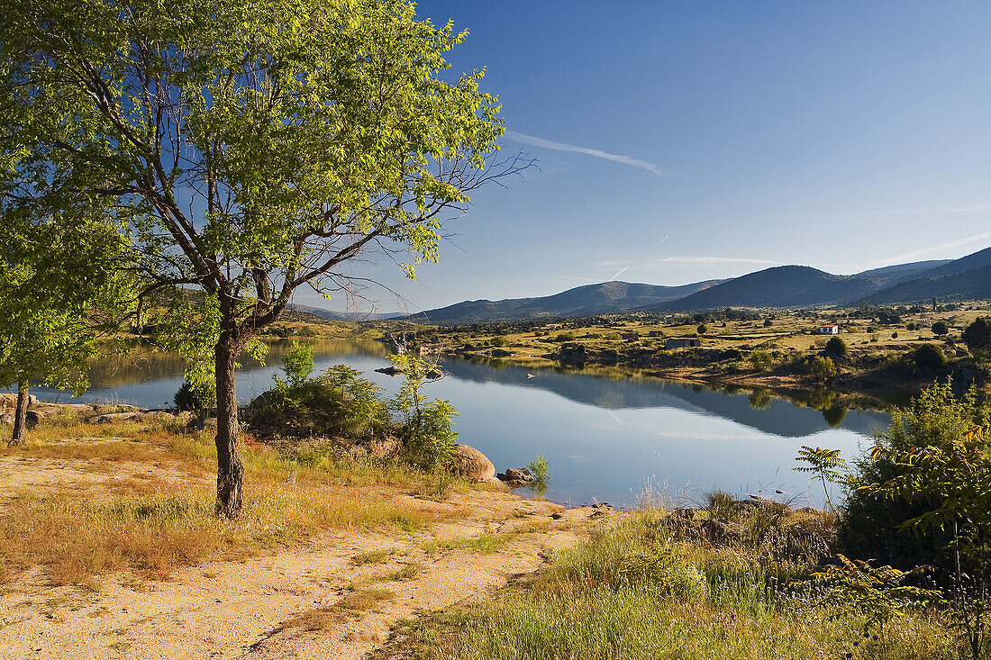 Burguillo reservoir. Castile-Leon. Spain.