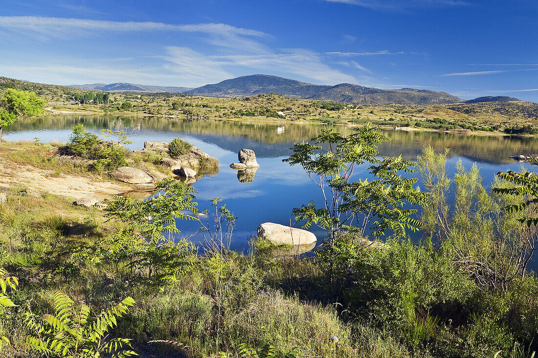 Embalse del Burguillo. Castilla León. España.