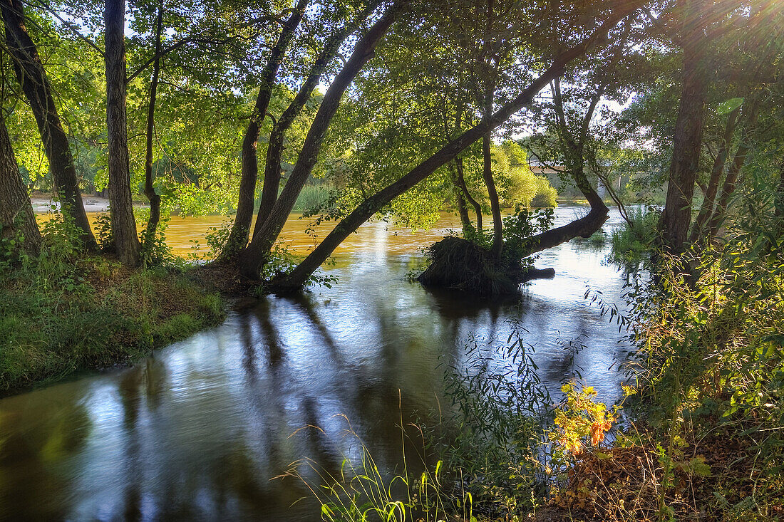 Rio Alberche a su paso por Escalona. Castilla la Mancha. España.