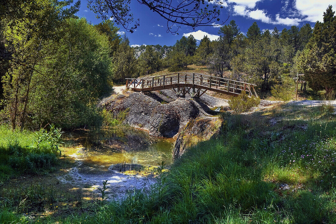 Puente sobre el arroyo de la Hoz. Castilla León. España.