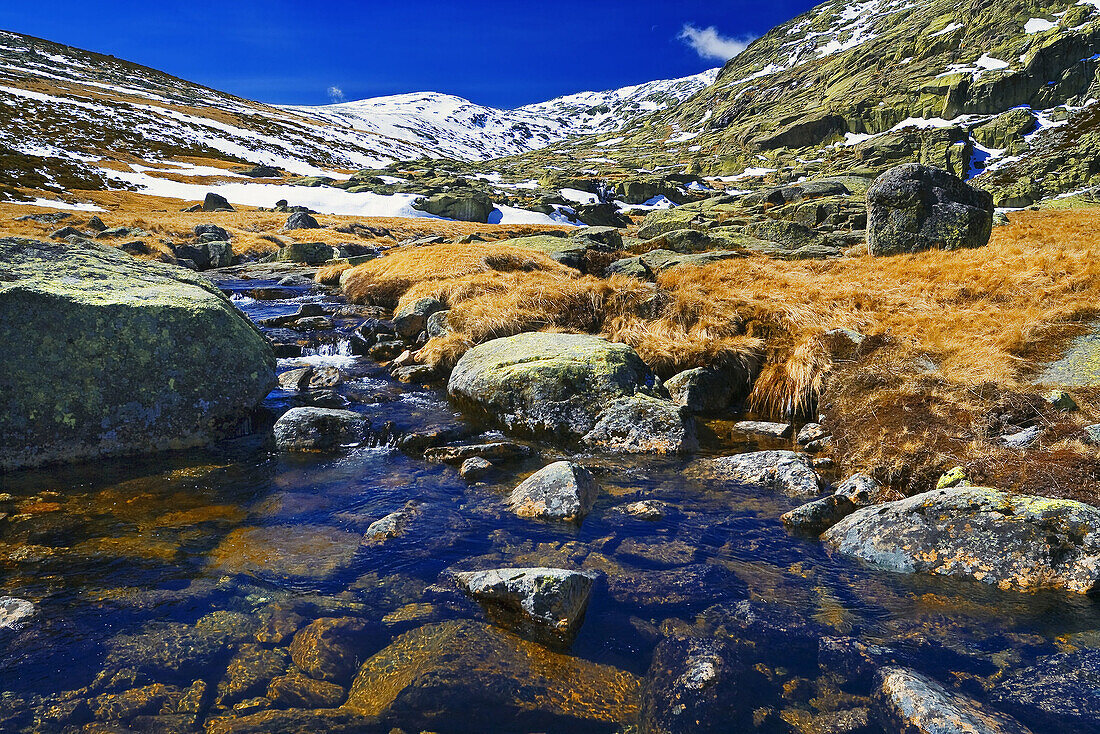 Rio de las Pozas. Sierra de Gredos. Castilla León. España.