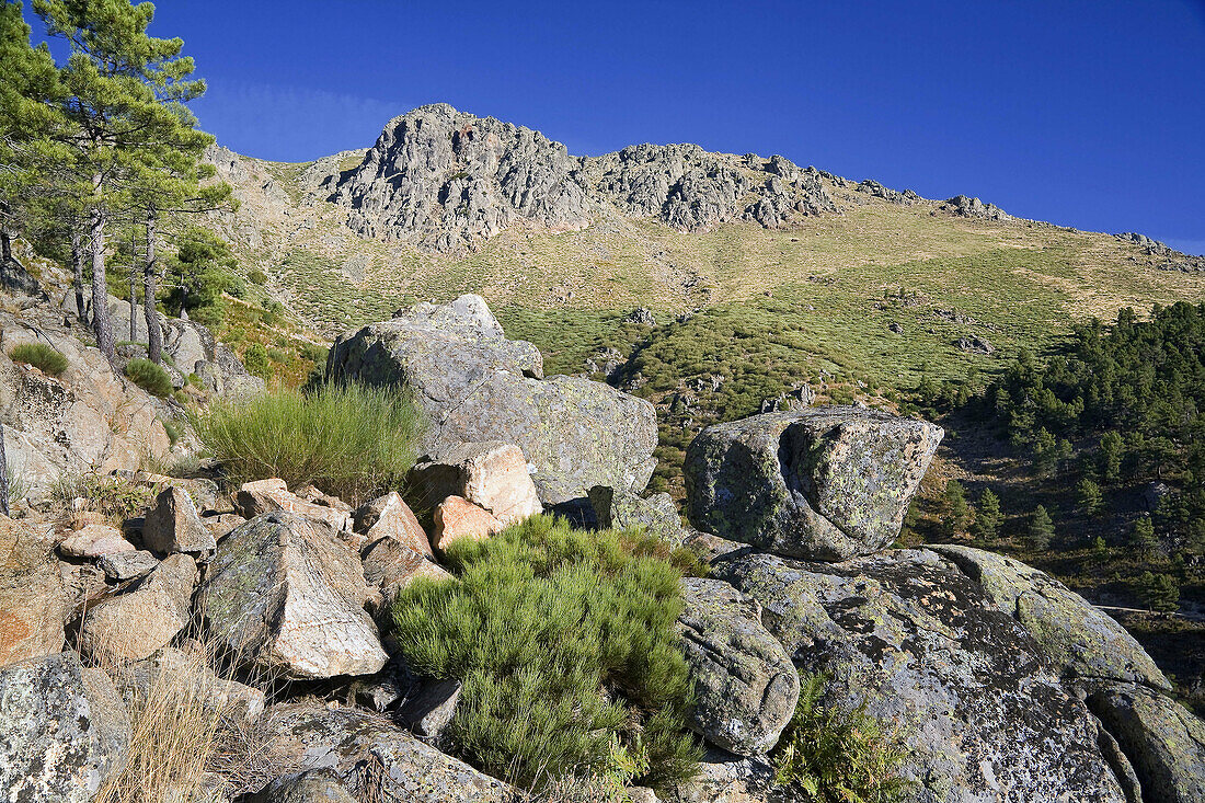 Risco Peluca en la Sierra de Gredos. Castilla León. España.