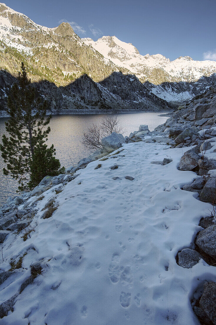 Pirineos. Parque Nacional de Aigüetortes. Cataluña. España.