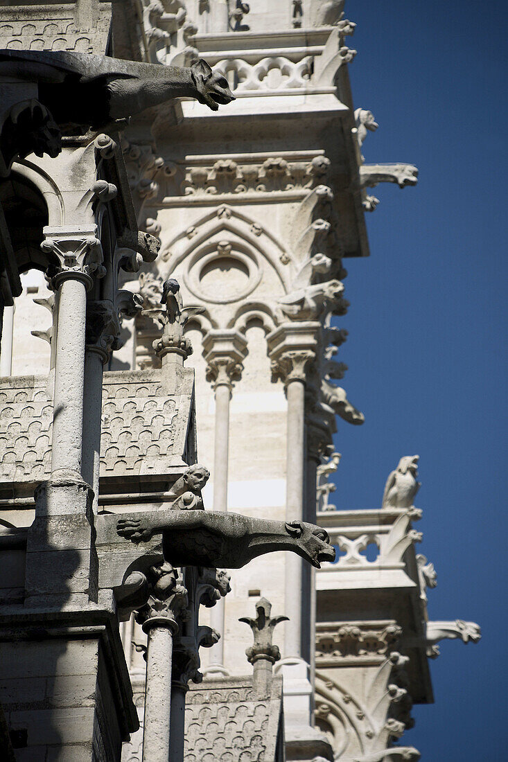France. Paris. Gargoyles decorated the north side of Notre_Dame Cathedral.