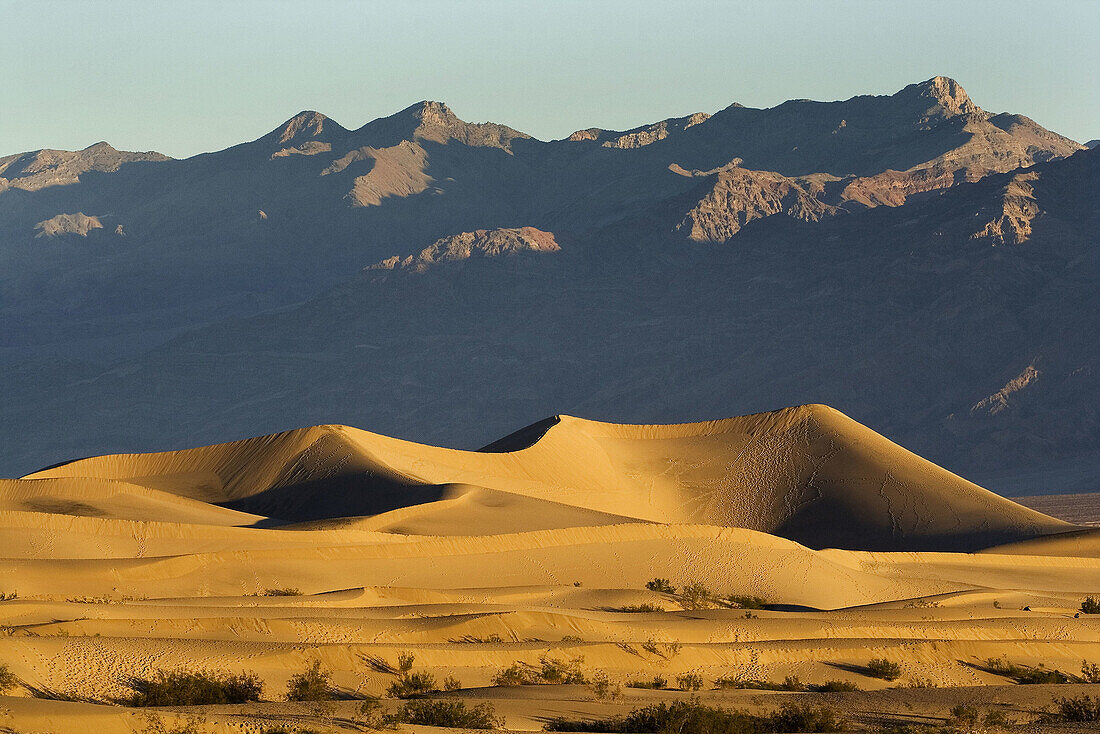 Sand Dunes at sunrise in Death Valley National Park, California