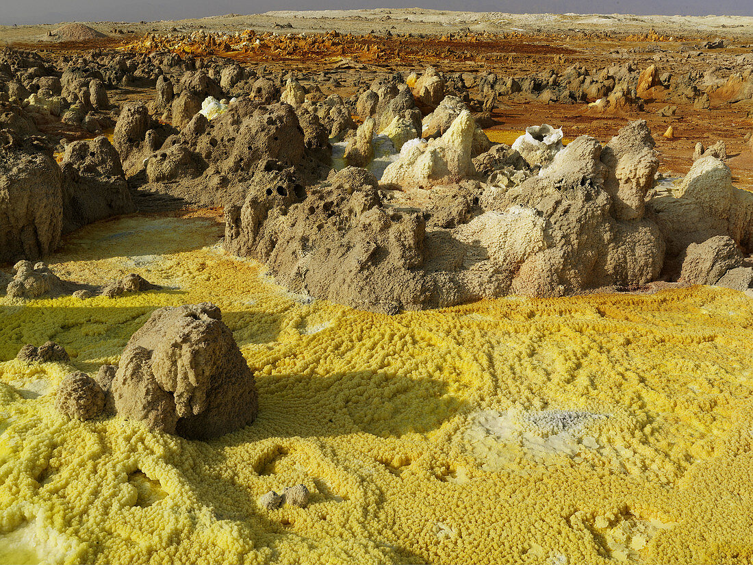 Danakil Dallol. Ethiopia