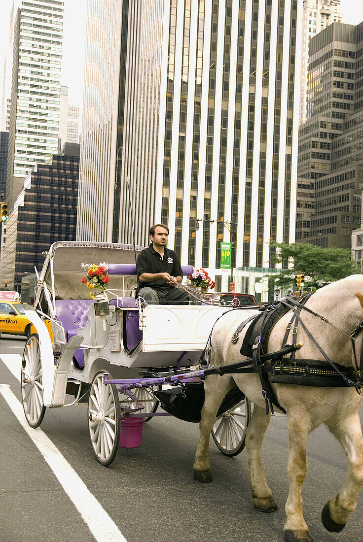 New York City - 59th Street & 5 Avenue Central Park South Next to The Plaza Hotel - See picturesque and romantic Central Park on a horse-drawn carriage  All year round