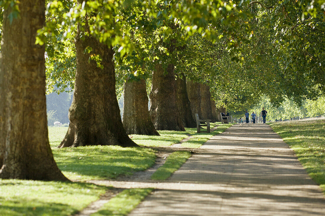 Hyde Park in spring, London. England, UK