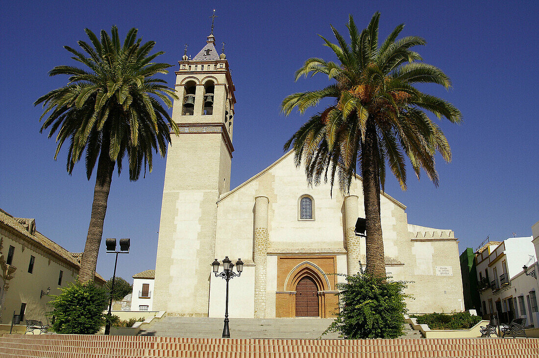 Marchena (Sevilla). España. Iglesia de San Juan Bautista en la Plaza del Cardenal Espínola del pueblo sevillano de Marchena