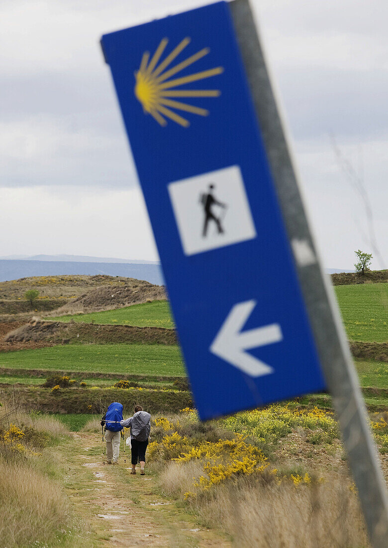 Sign near Torres del Rio, Way of St James. Navarra, Spain