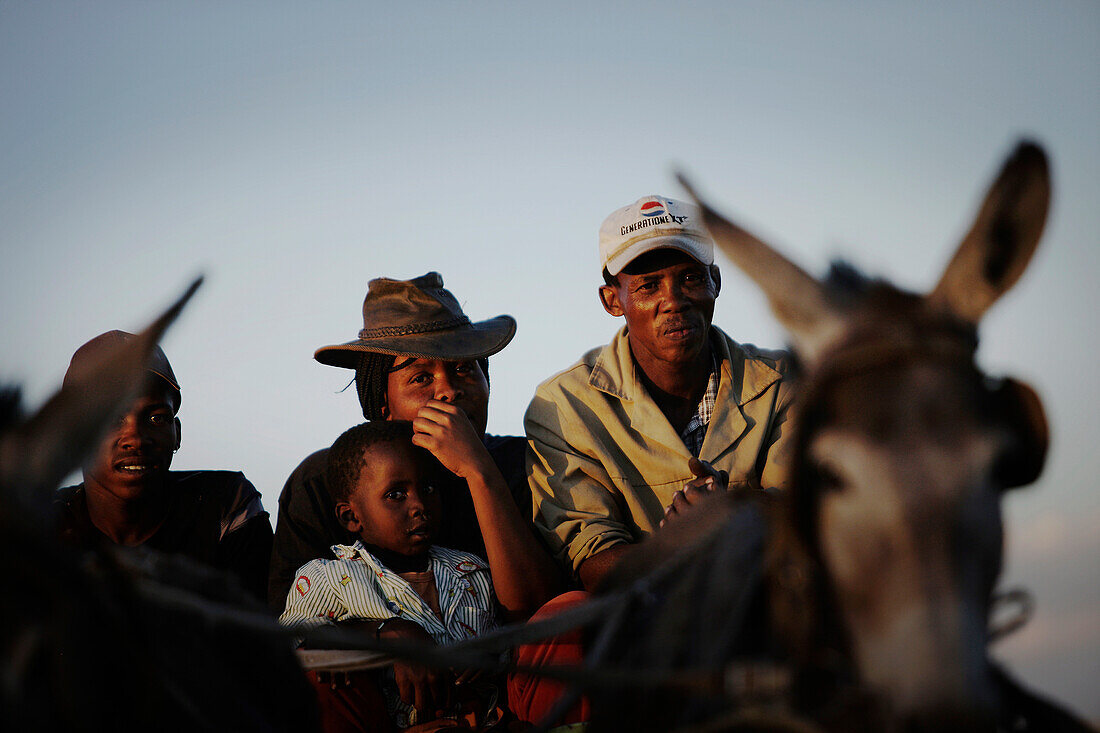 Family on a cart pulled by a donkey, Windhoek, Namibia, Africa