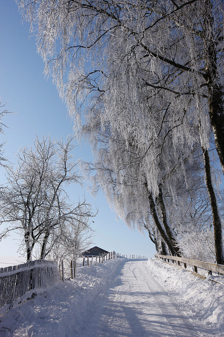 Snow covered street, Muensing, Bavaria, Germany