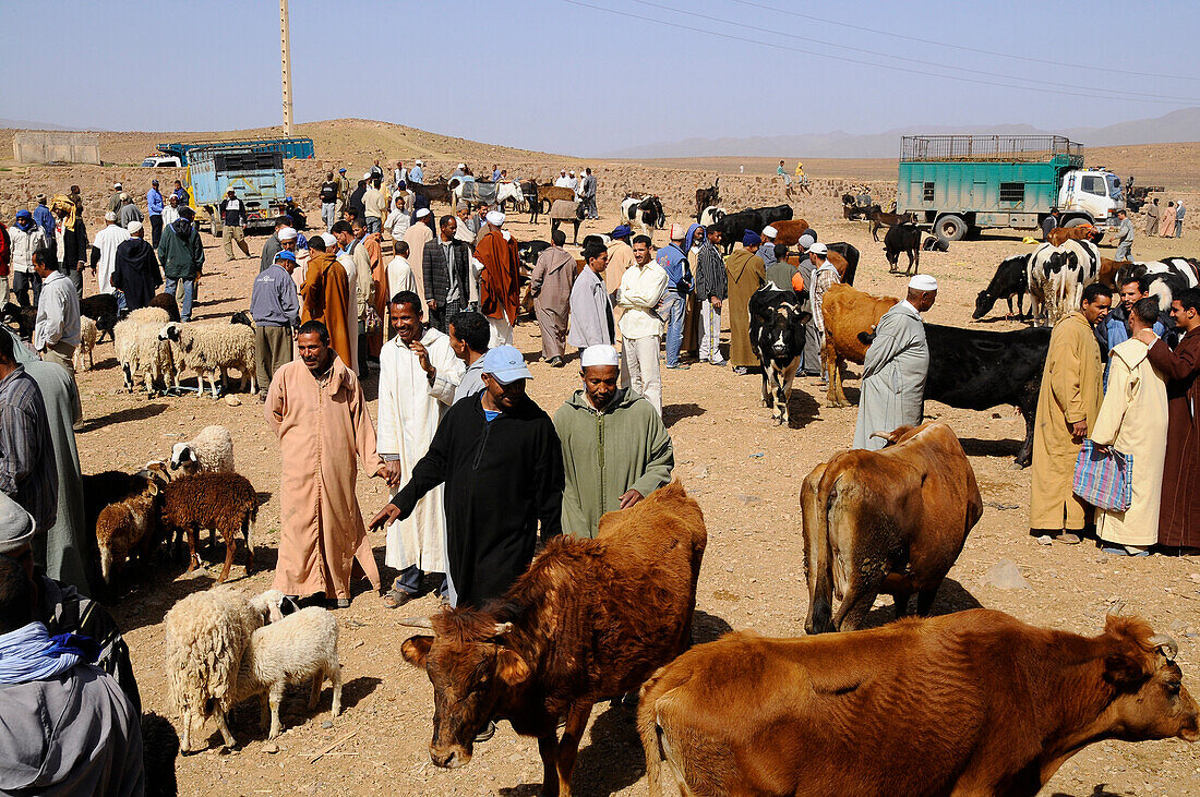 Menschen auf dem Markt im Sonnenlicht, Tinezouline, Draa-Tal, Süd Marokko, Marokko, Afrika
