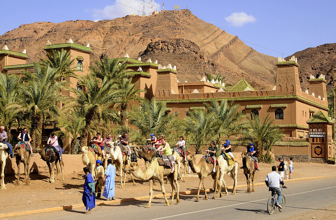 Touristen reiten auf Kamelen auf einer Strasse in Zagora, Draa-Tal, Süd Marokko, Marokko, Afrika