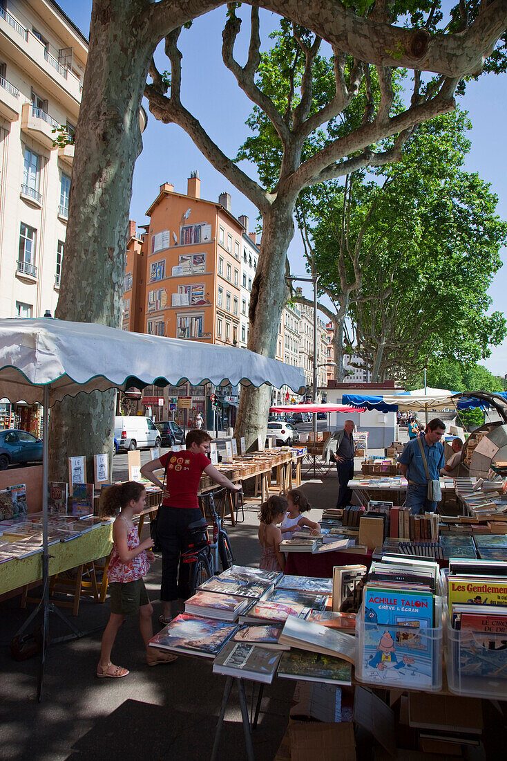 Buecher Flohmarkt am Soane Ufer, HG Fresken, Lyon, Region Rhone Alps, Frankreich