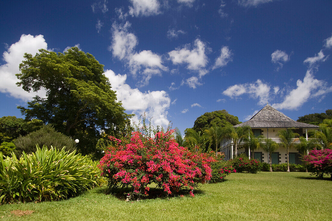 Sir Seewoosagur Ramgoolam Royal Botanical Garden of Pamplemousses , Mauritius, Africa