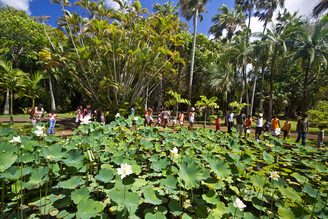 Schulklasse im botanischen Garten von Pamplemousses beim Lotusteich,Mauritius, Afrika