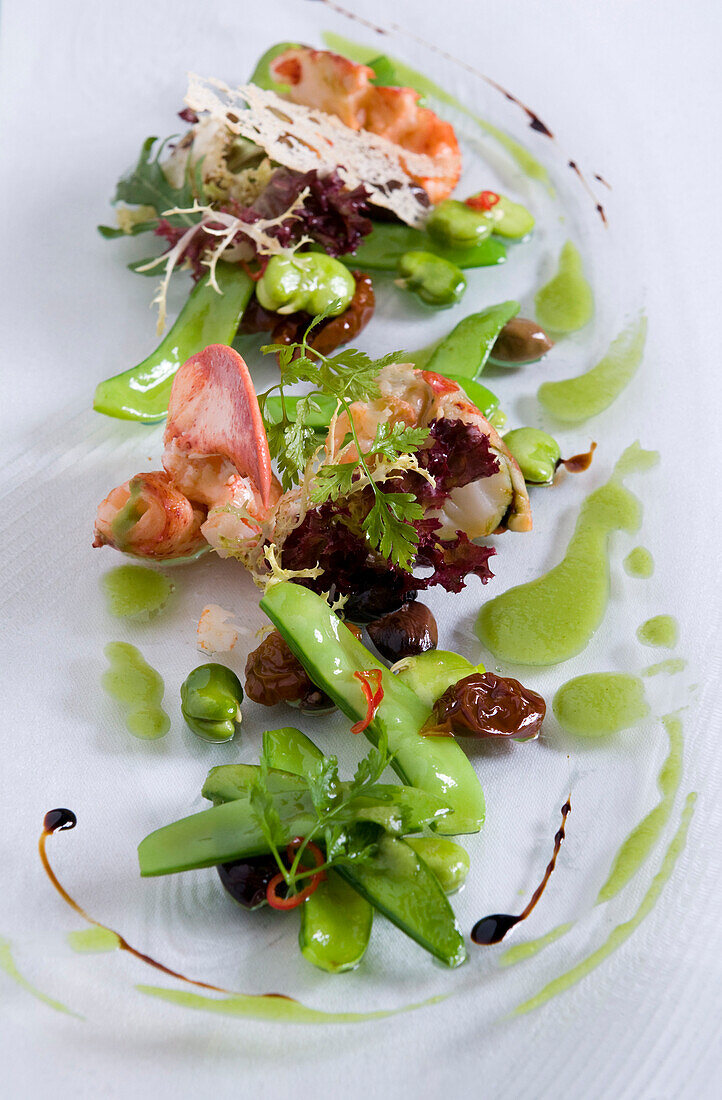 Lobster salad with sugar snaps in restaurant Tilia, Chef Chris Oberhammer, Vintl South Tyrol, Italy