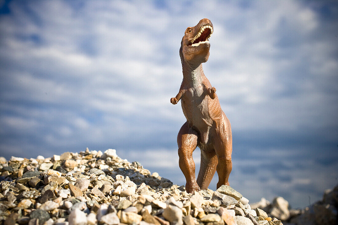 Toy tyrannosaurus rex in front of clouded sky