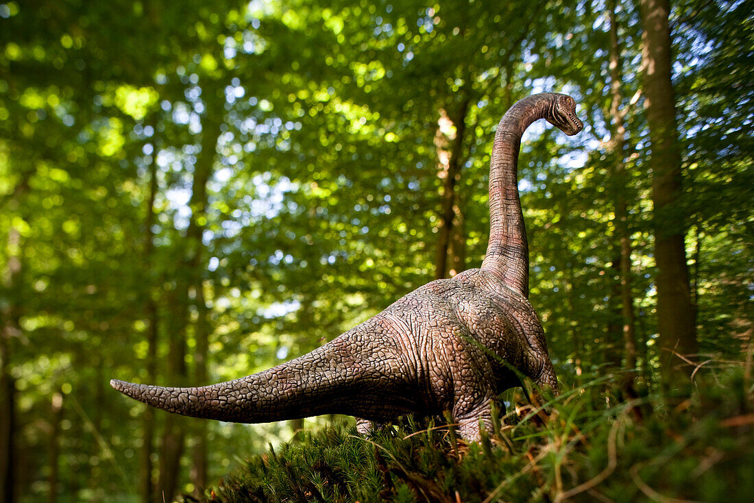 Spielzeug Brachiosaurus vor Laubbäumen