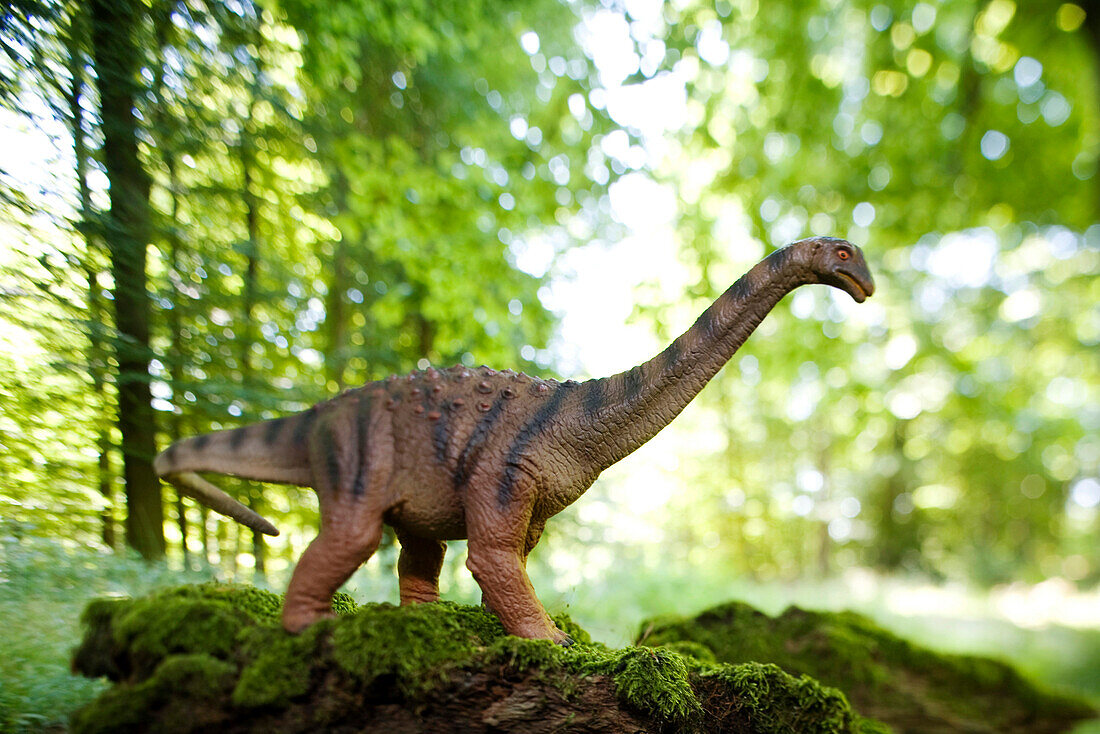 Toy saltasaurus in front of deciduous trees