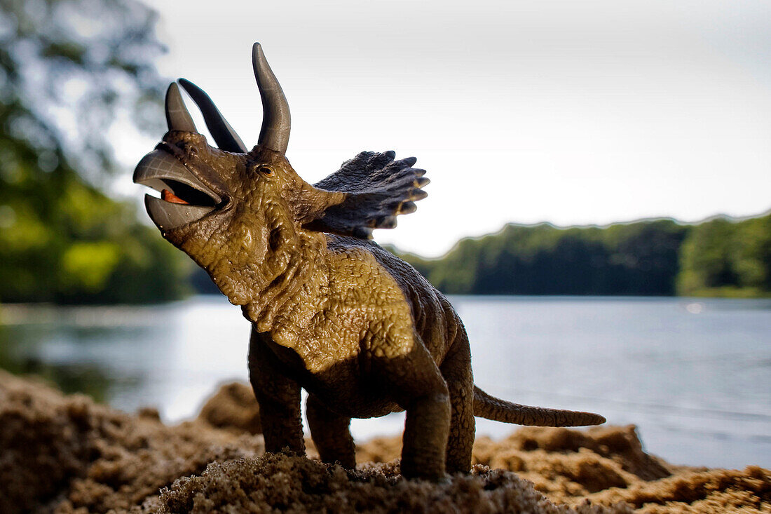 Toy triceratops at the shore of a lake