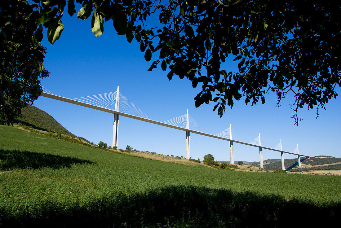 Europe, France, aveyron, Millau, suspension bridge