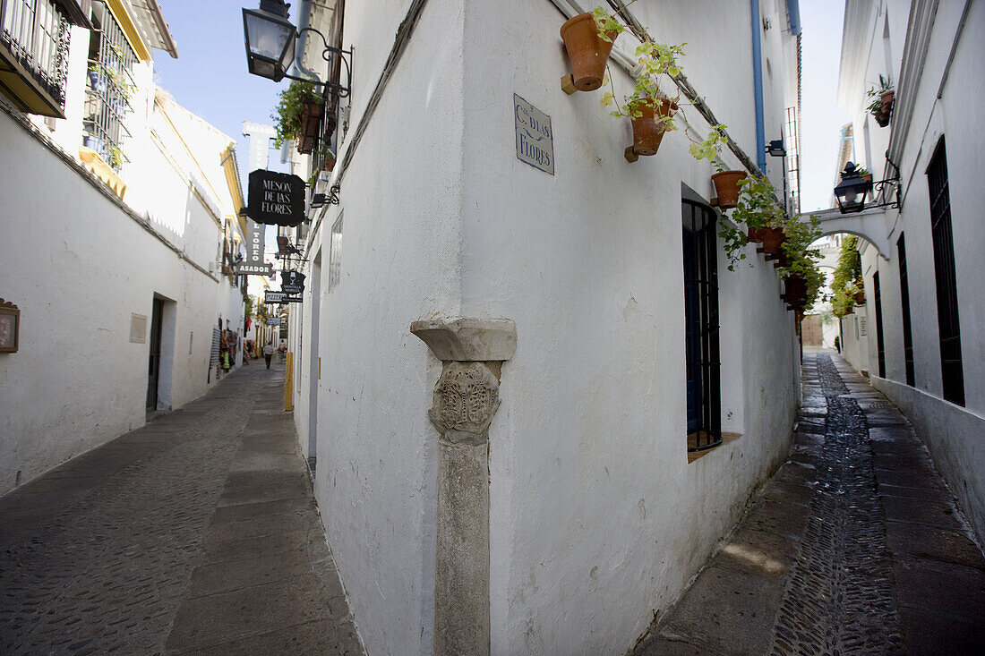 Cordoba. Andalucia, Spain