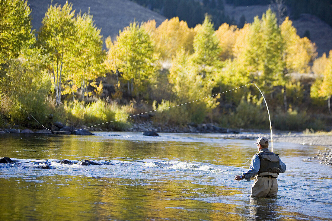 Man fly fishing on the Bigwood River, Sun Valley, Idaho, USA
