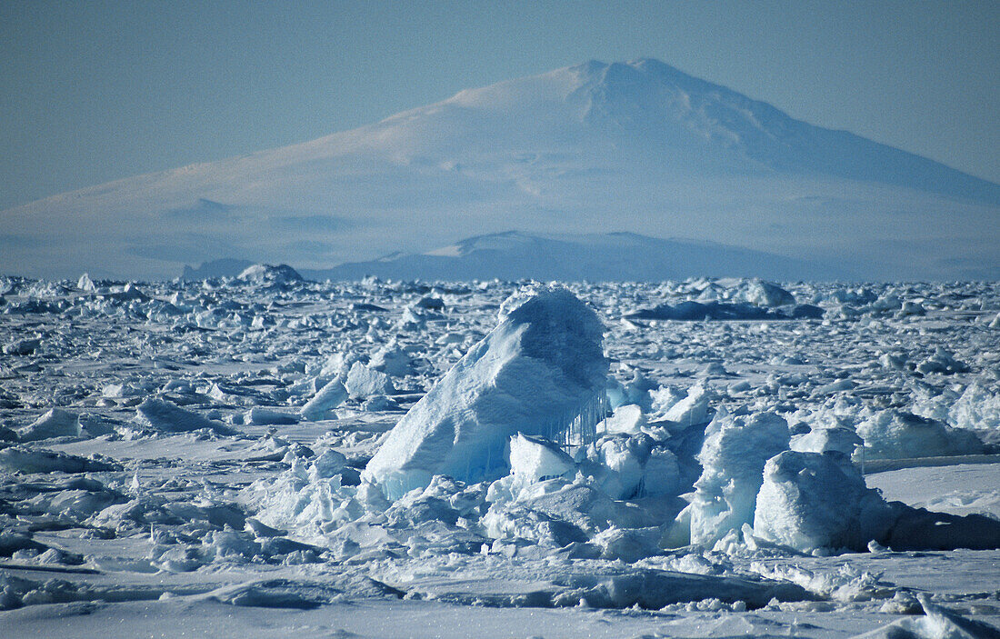 Mt  Erebus, Antarctica in the back ground, sea ice in the Ross Sea