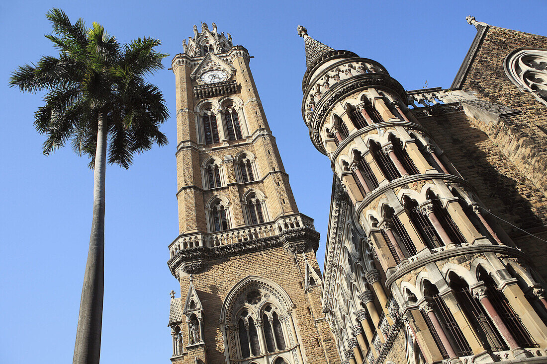 University (1869-1878), Mumbai, India