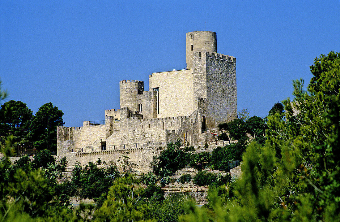 Castillo Castle, Castle, Century X, Castellet i la Gornal, Middle Ages, of the Parc Natural Foix, Natural Park of Foix, Spain, Catalunya, Catalonia, Barcelona, Alt Penedes, Penedes, Sunny.