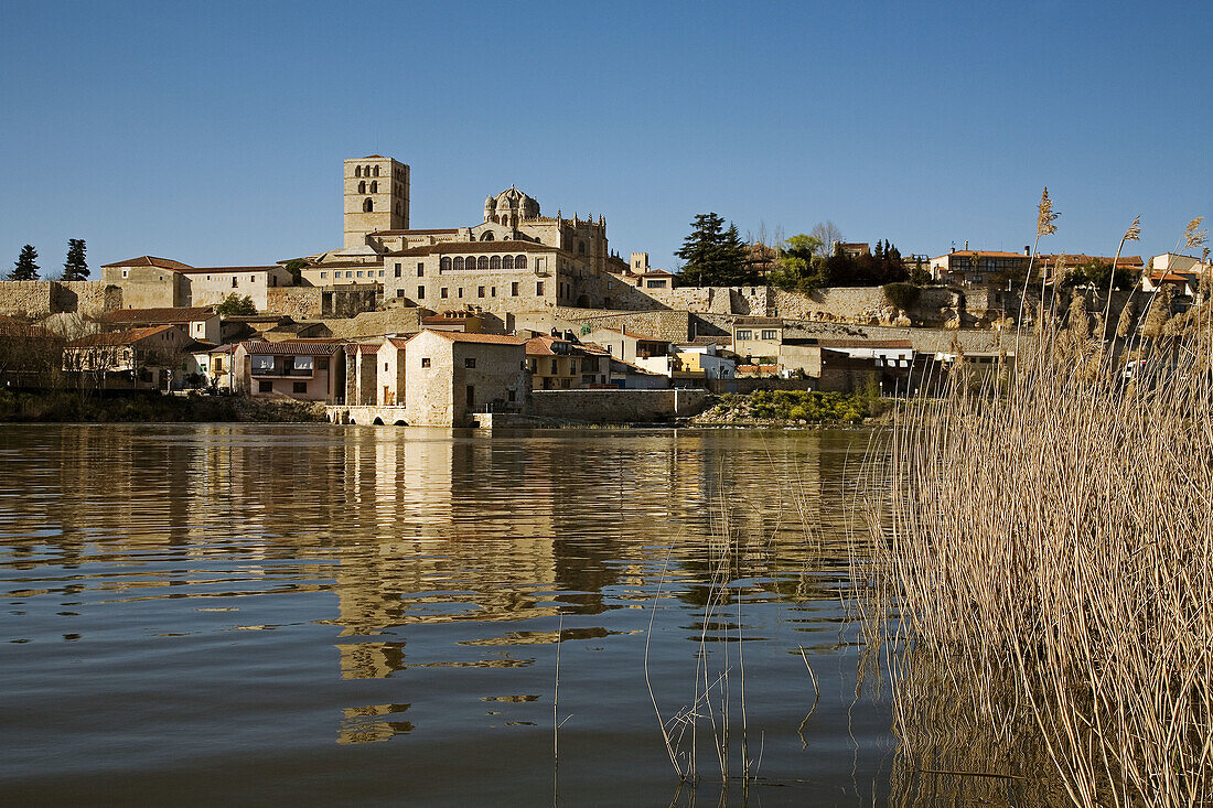 Cathedral and Duero river, Zamora. Castilla-Leon, Spain
