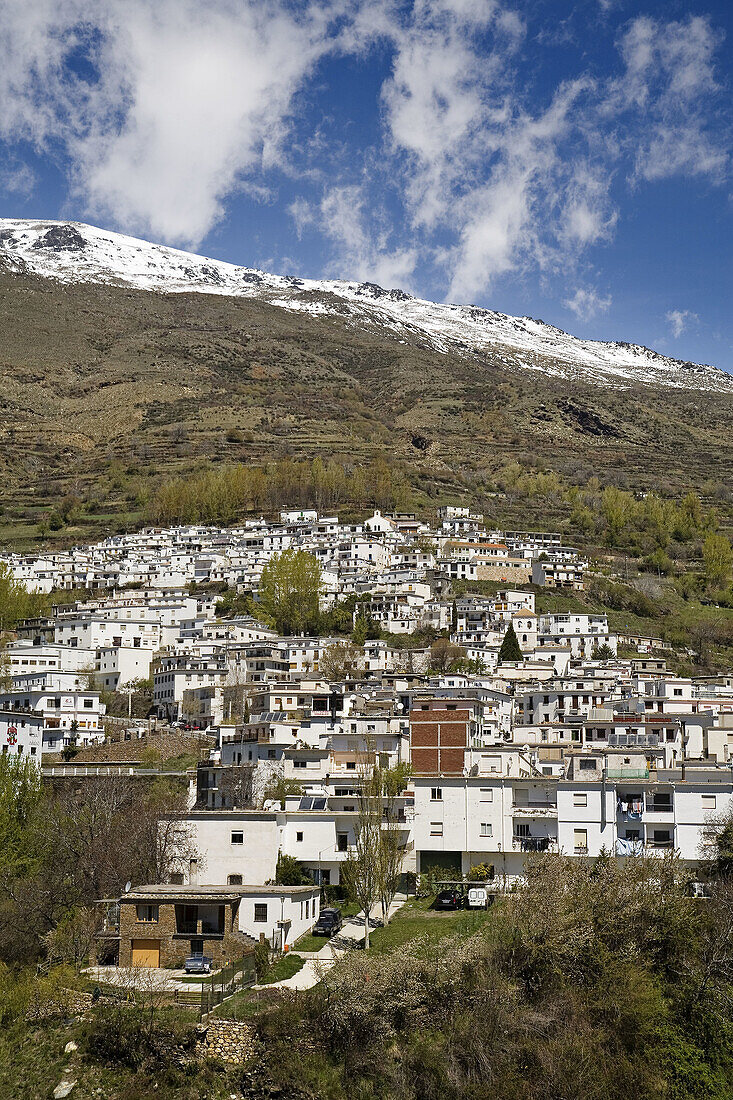 Trevelez and Sierra Nevada. Las Alpujarras, Granada province, Andalucia, Spain