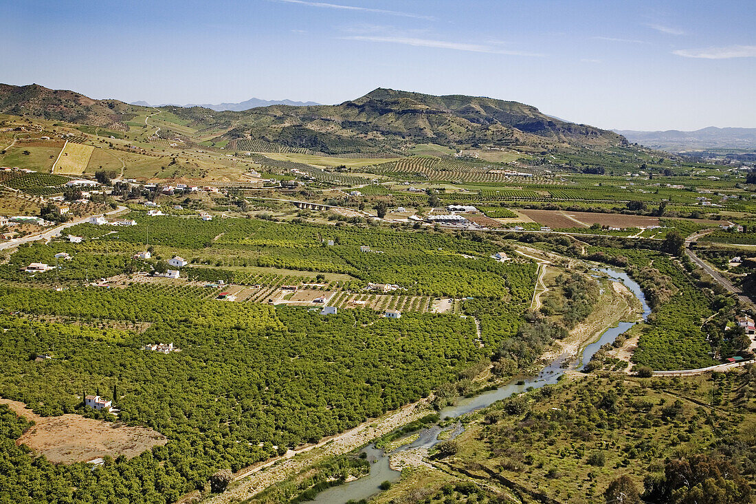 Citrus tree fields and River Guadalhorce, Alora. Malaga province, Andalucia, Spain