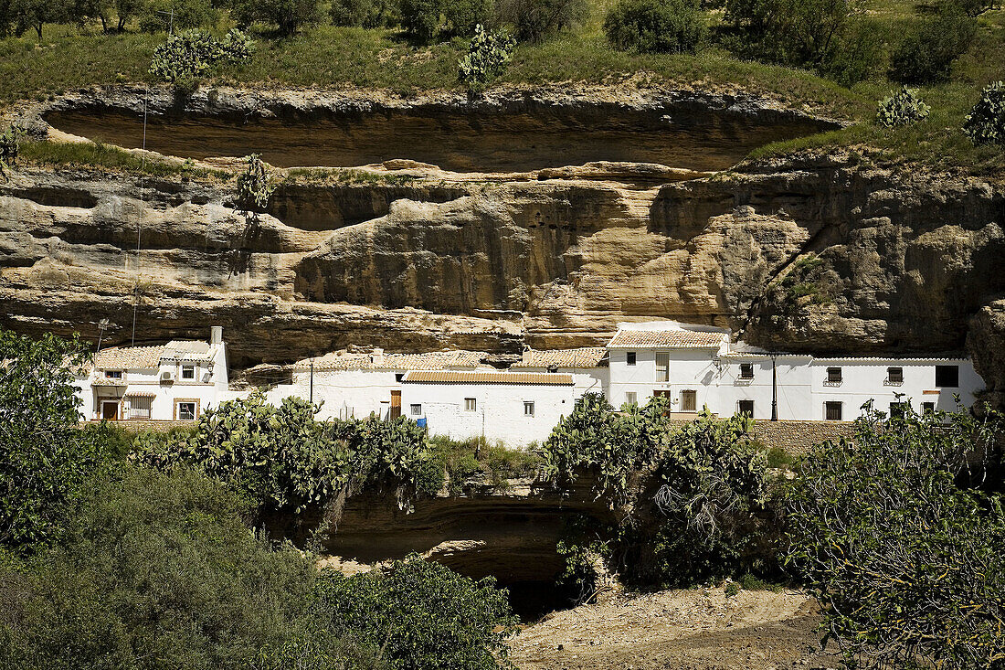 Typical houses, Setenil de las Bodegas. Pueblos Blancos (white towns), Cadiz province, Andalucia, Spain