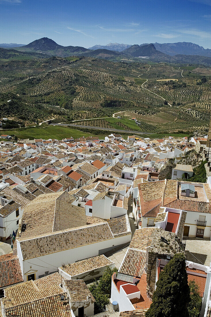 Olvera. Pueblos Blancos (white towns), Cadiz province, Andalucia, Spain