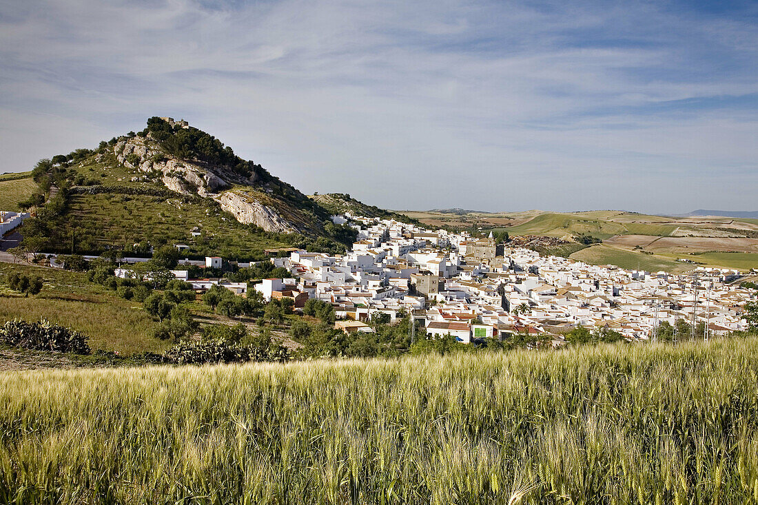 Espera. Pueblos Blancos (white towns), Cadiz province, Andalucia, Spain