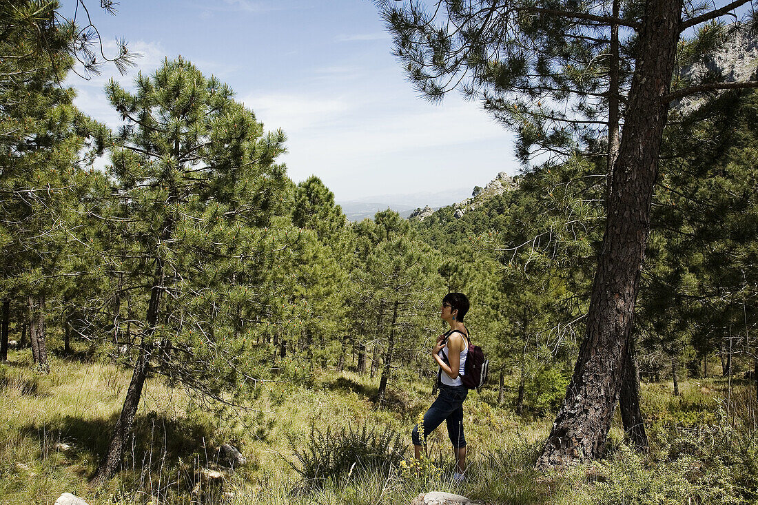 Hiking, Sierra de Grazalema. Cadiz province, Andalucia, Spain