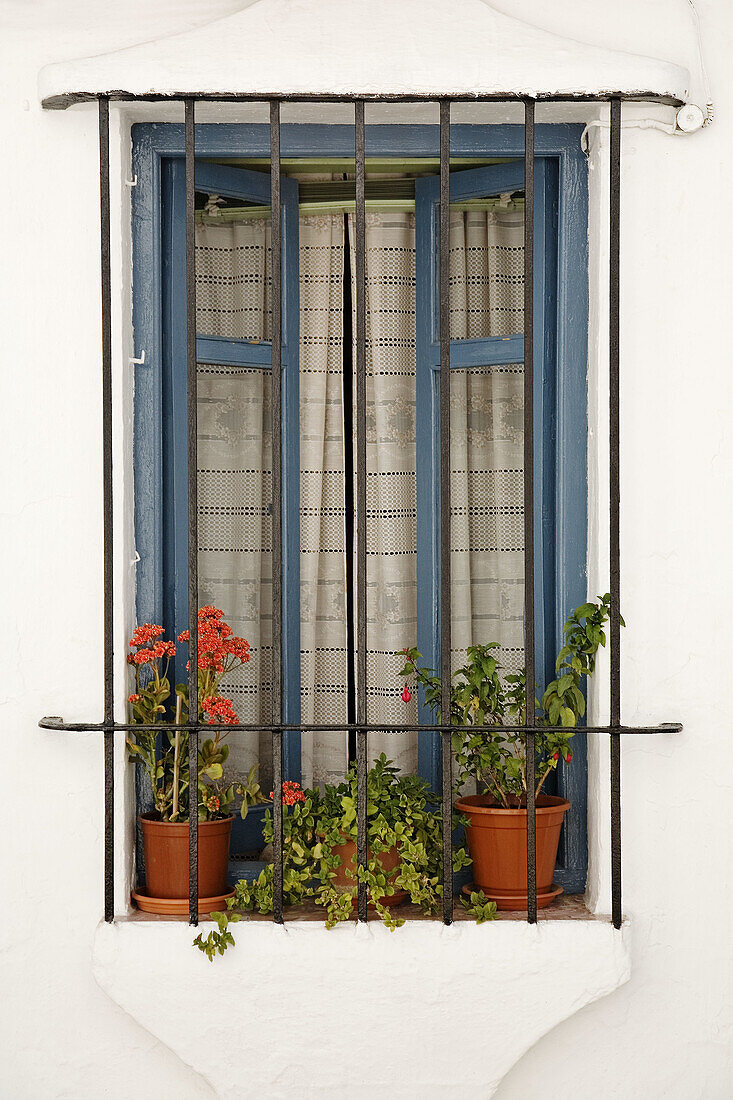 Flowerpots on window sill, Grazalema. Pueblos Blancos (white towns), Cadiz province, Andalucia, Spain
