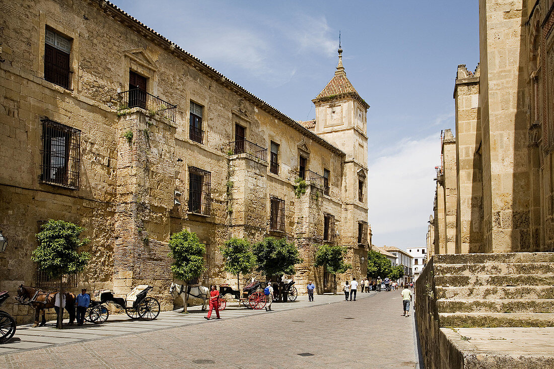 Bishops Palace in front of cathedral, Cordoba. Andalusia, Spain