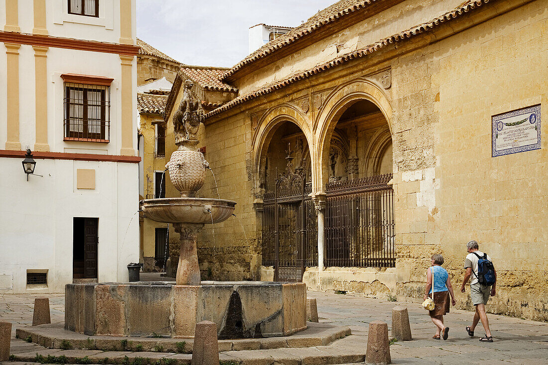 Plaza del Potro and Fine Arts Provincial Museum, Cordoba. Andalusia, Spain