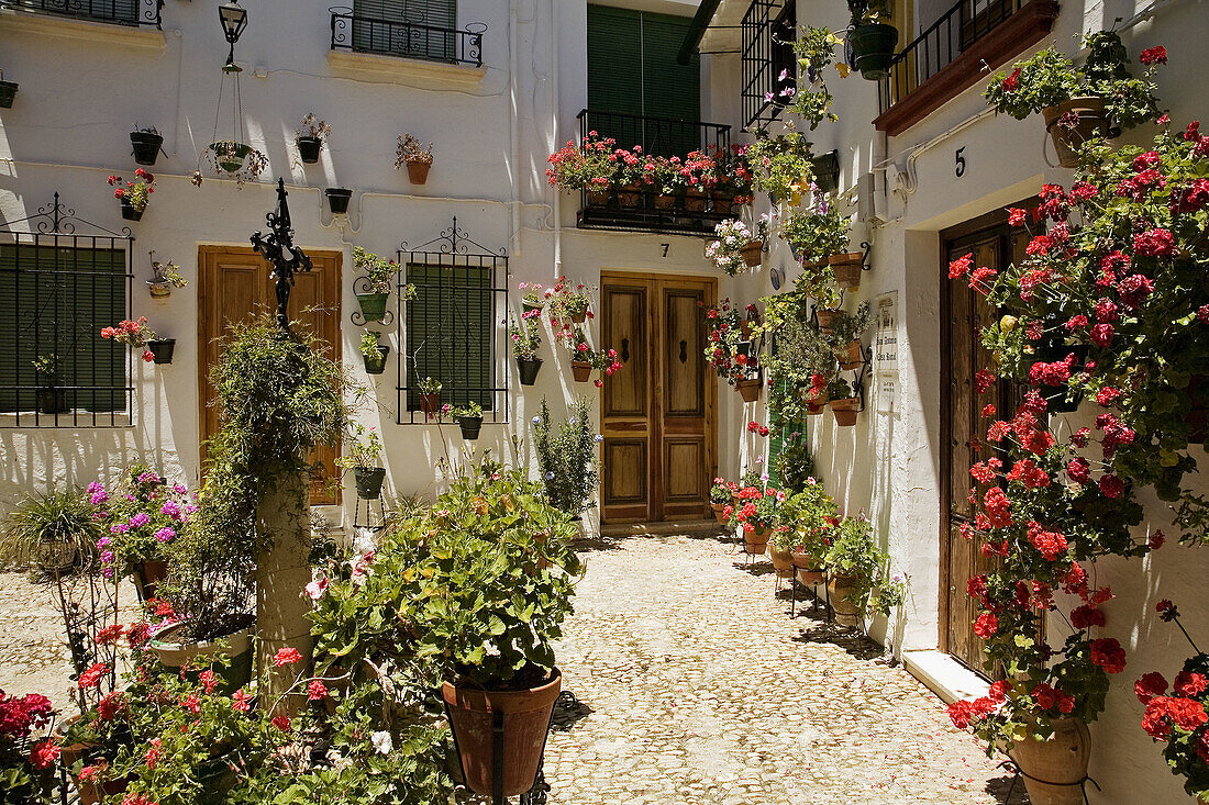 Houses in the Villa district, Priego de Cordoba. Cordoba province, Andalucia, Spain