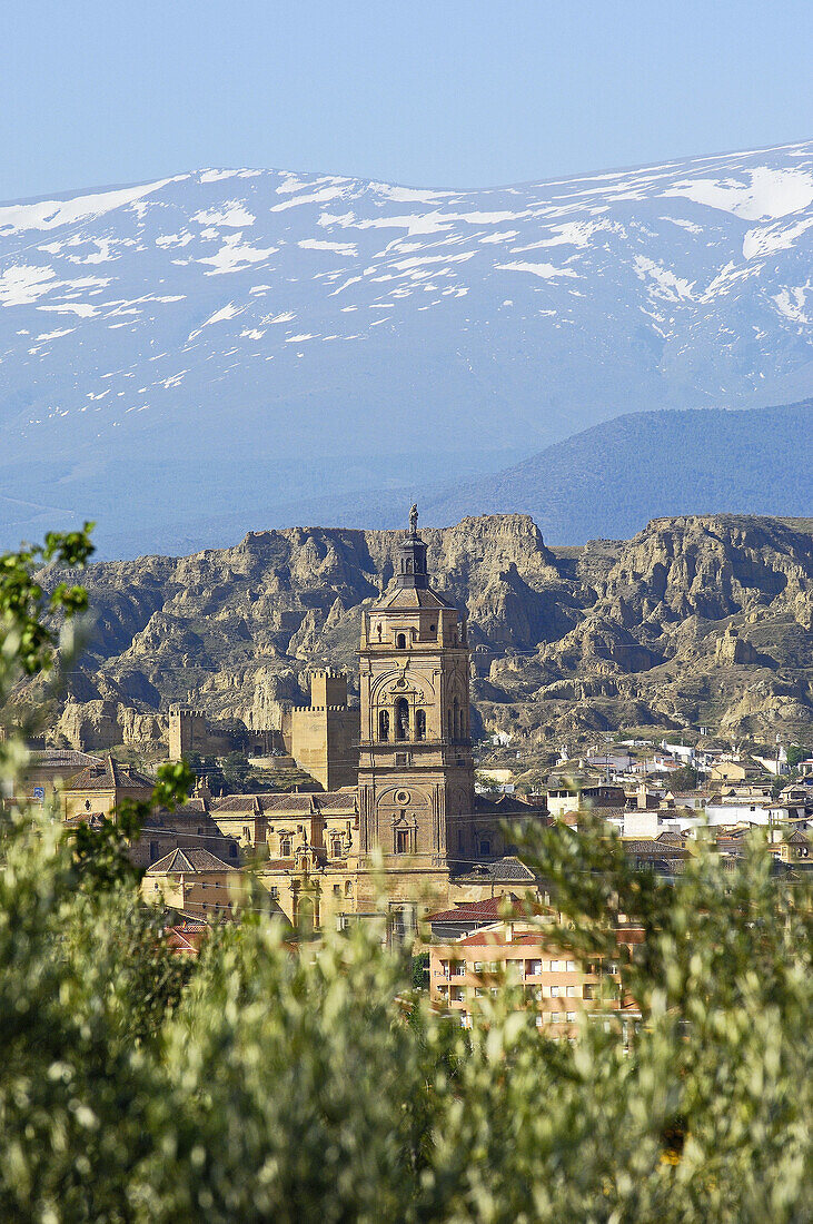 Cathedral (16th century), Guadix. Granada province, Andalucia, Spain