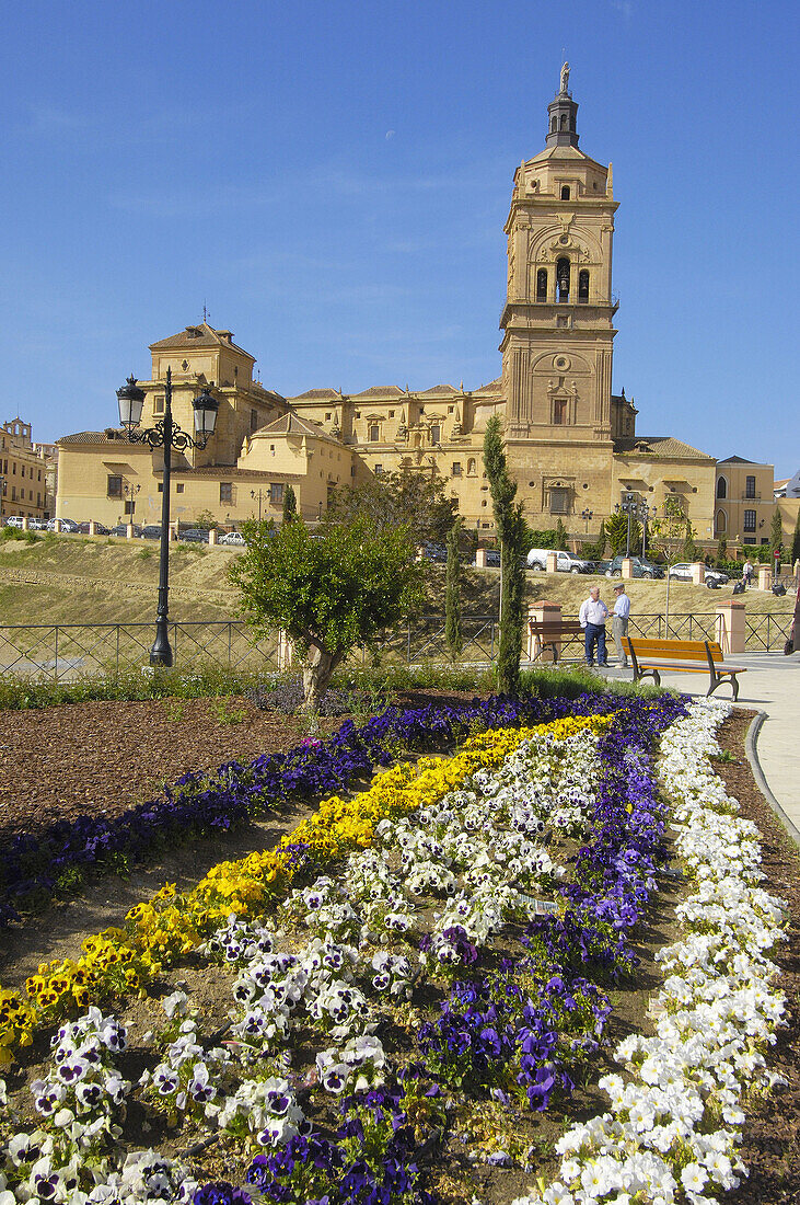 Cathedral (16th century), Guadix. Granada province, Andalucia, Spain